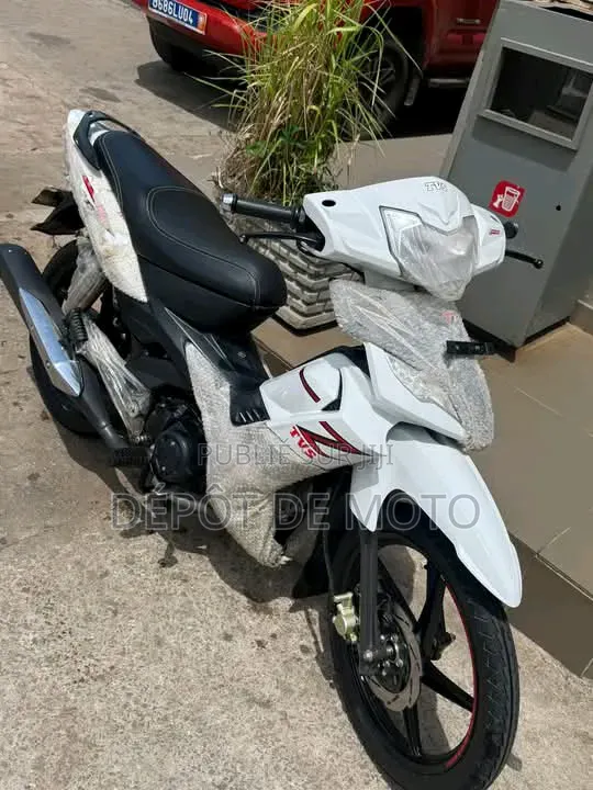 Nouveau TVS Rockz 125 2024 Blanc