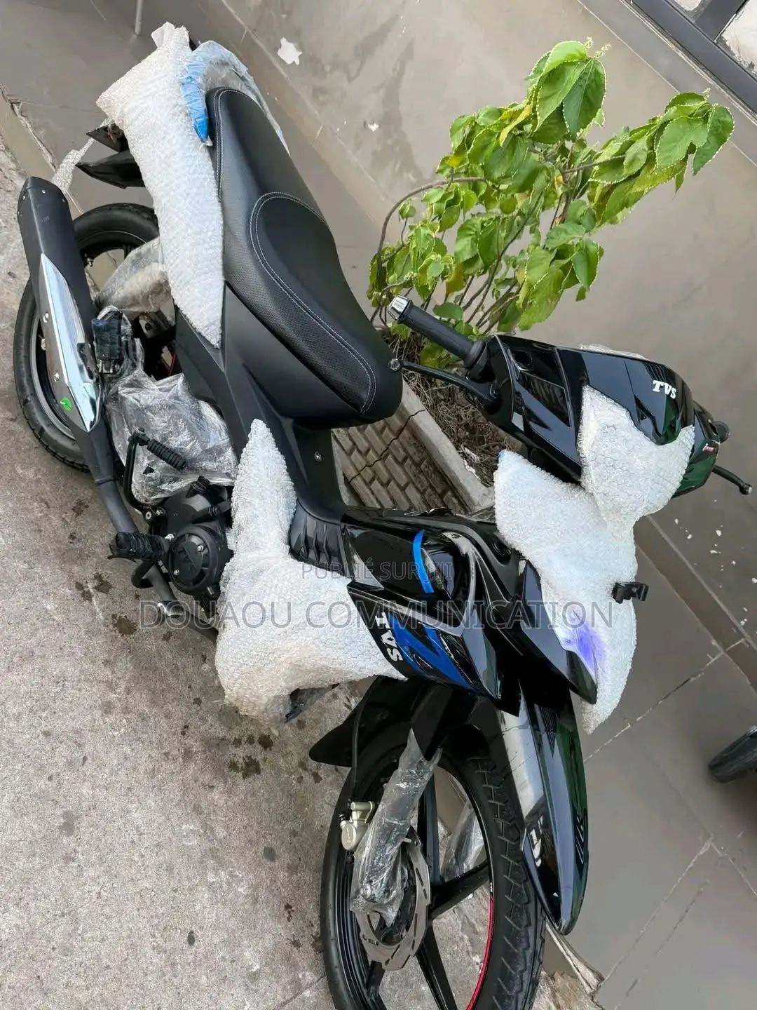 Nouveau TVS HLX 125 2024 Noir
