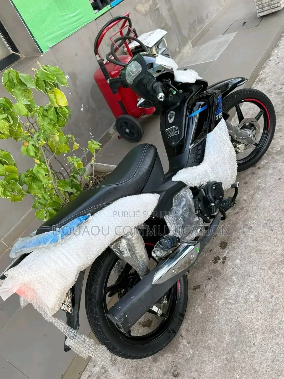 Nouveau TVS HLX 125 2024 Noir