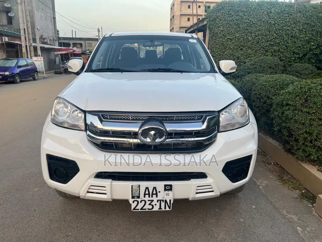 Great Wall Wingle 2025 Blanc cassé