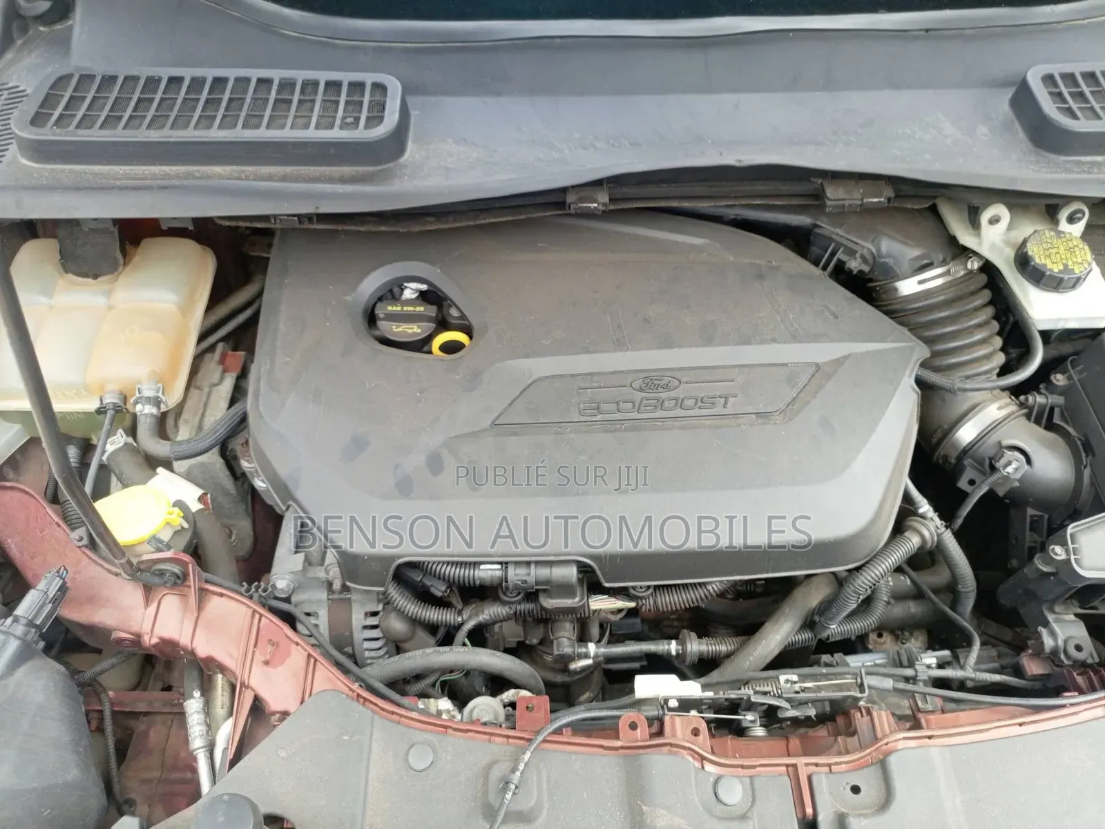 Ford Escape 2015 Rouge