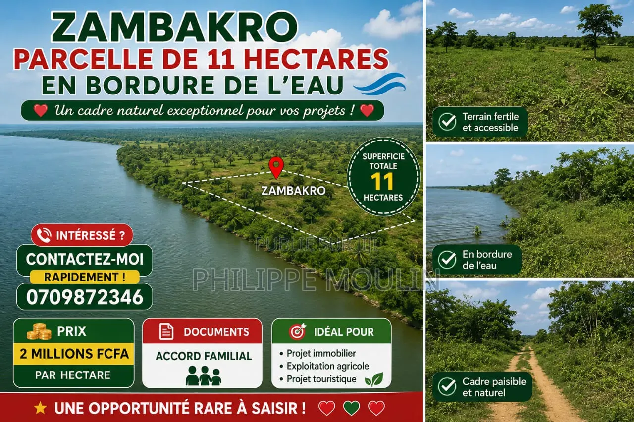 Terrain en Vente a Zambakro Yamoussoukro
