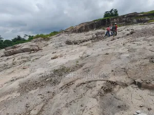 Terrain en Vente a Zambakro Yamoussoukro