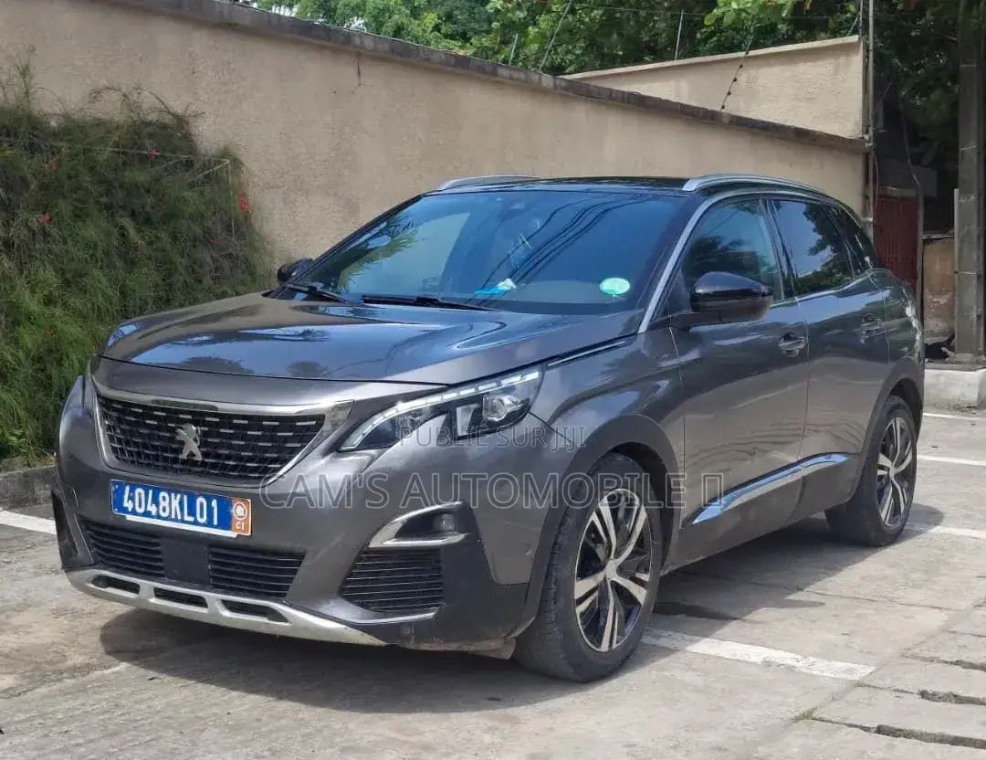Peugeot 3008 2018 Gris