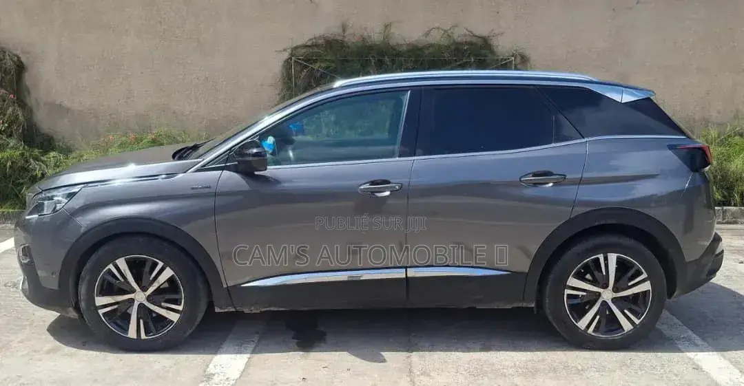 Peugeot 3008 2018 Gris