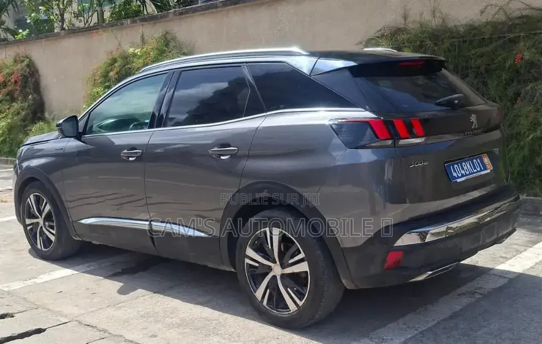 Peugeot 3008 2018 Gris