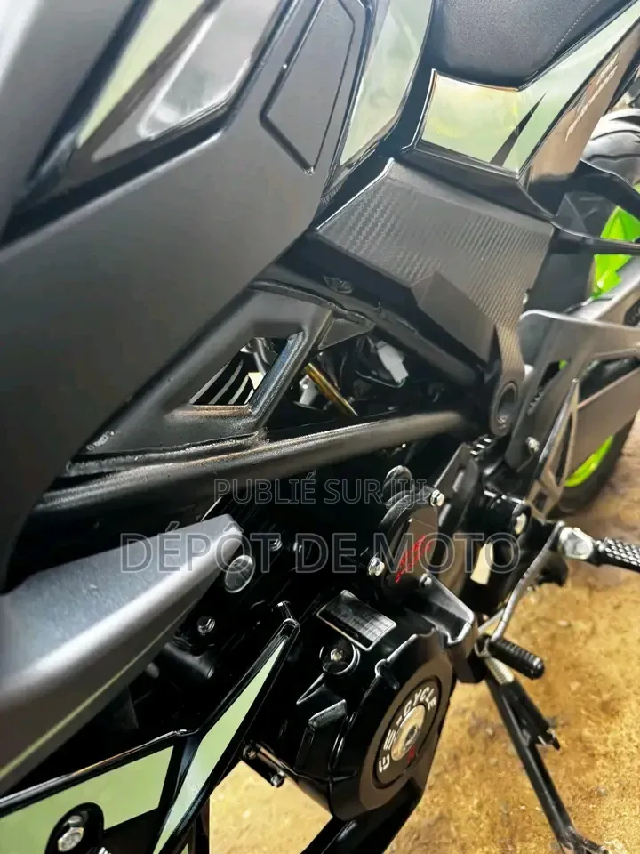 Nouveau Apsonic AP250 PRO 2026 Gris