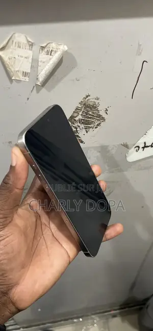 Apple iPhone 15 Pro Max 256 GB Argenté