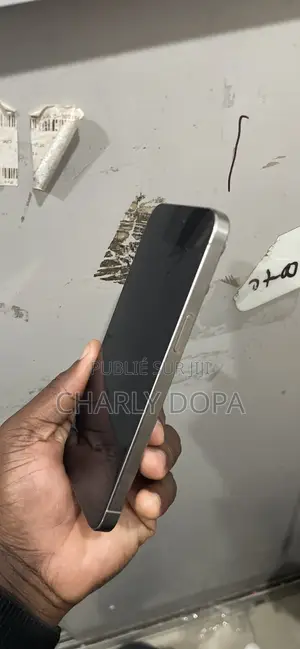 Apple iPhone 15 Pro Max 256 GB Argenté