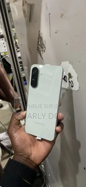 Samsung Galaxy A56 256 GB Vert