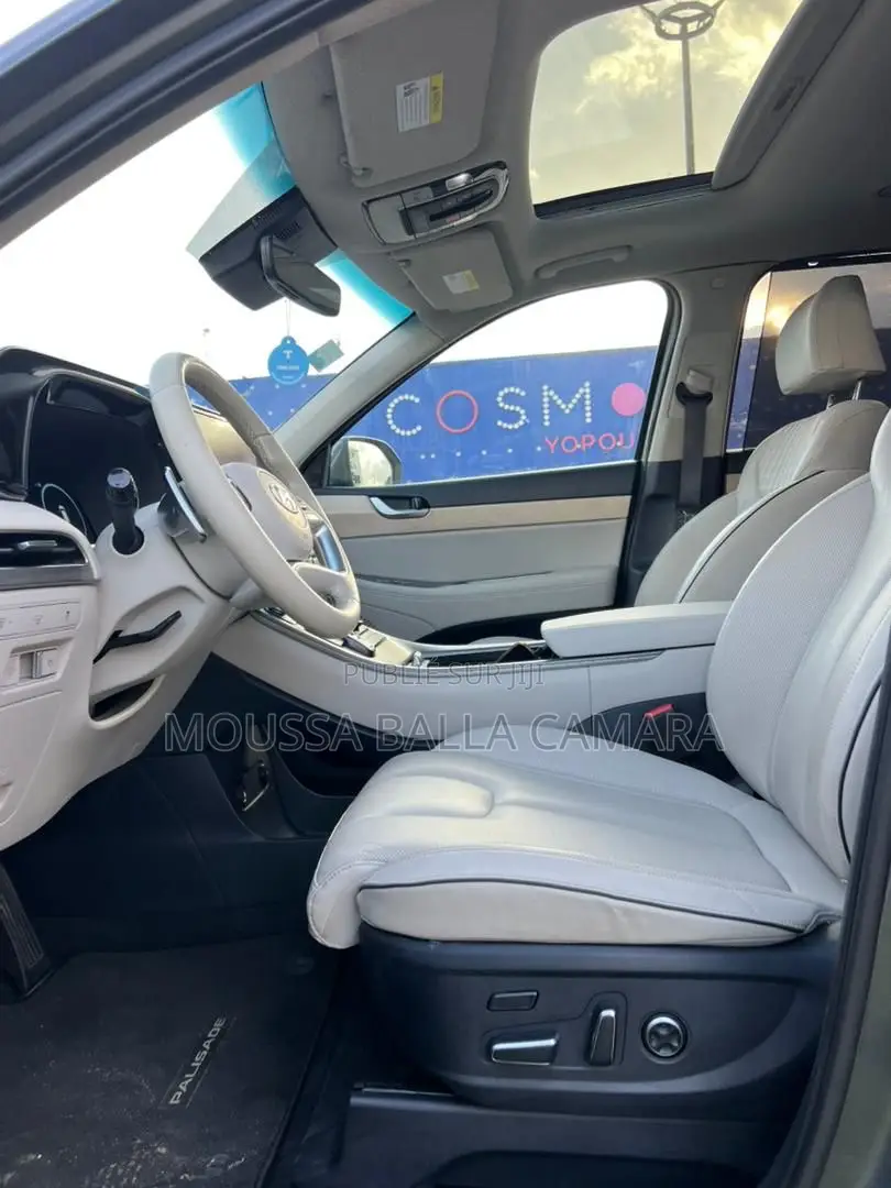 Hyundai Palissade Calligraphy Night Edition 2024 Gris