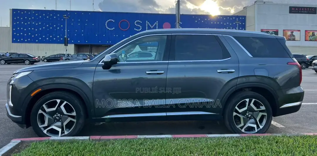 Hyundai Palissade Calligraphy Night Edition 2024 Gris