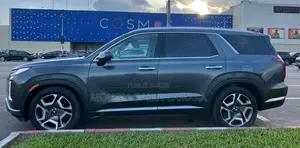 Hyundai Palissade Calligraphy Night Edition 2024 Gris