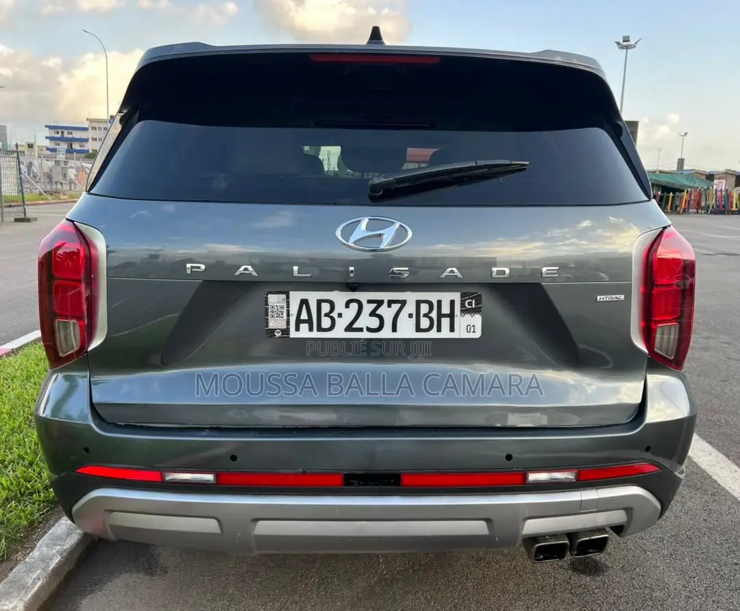 Hyundai Palissade Calligraphy Night Edition 2024 Gris