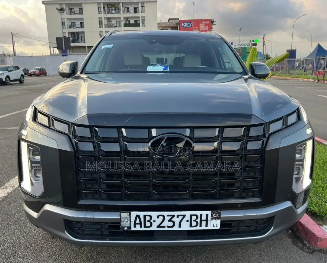 Hyundai Palissade Calligraphy Night Edition 2024 Gris