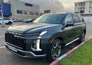 Hyundai Palissade Calligraphy Night Edition 2024 Gris
