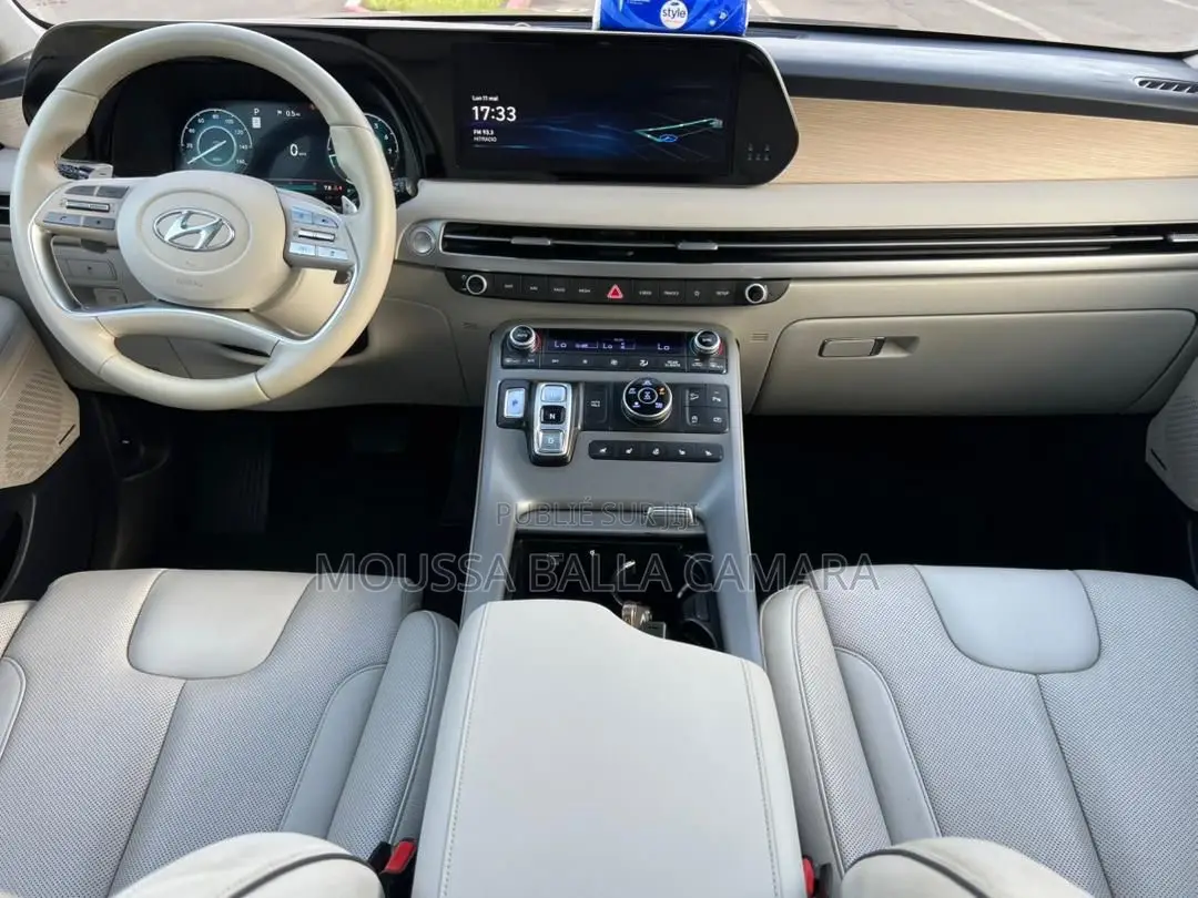 Hyundai Palissade Calligraphy Night Edition 2024 Gris