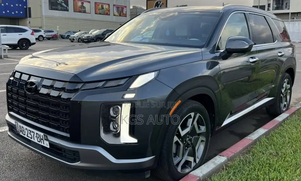 Hyundai Palissade Calligraphy 2023 Gris