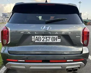 Hyundai Palissade Calligraphy 2023 Gris
