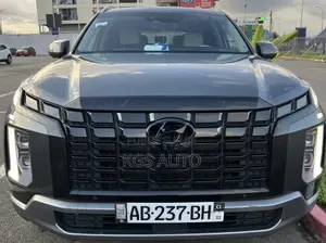 Hyundai Palissade Calligraphy 2023 Gris