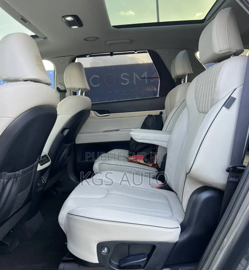 Hyundai Palissade Calligraphy 2023 Gris