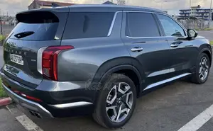 Hyundai Palissade Calligraphy 2023 Gris