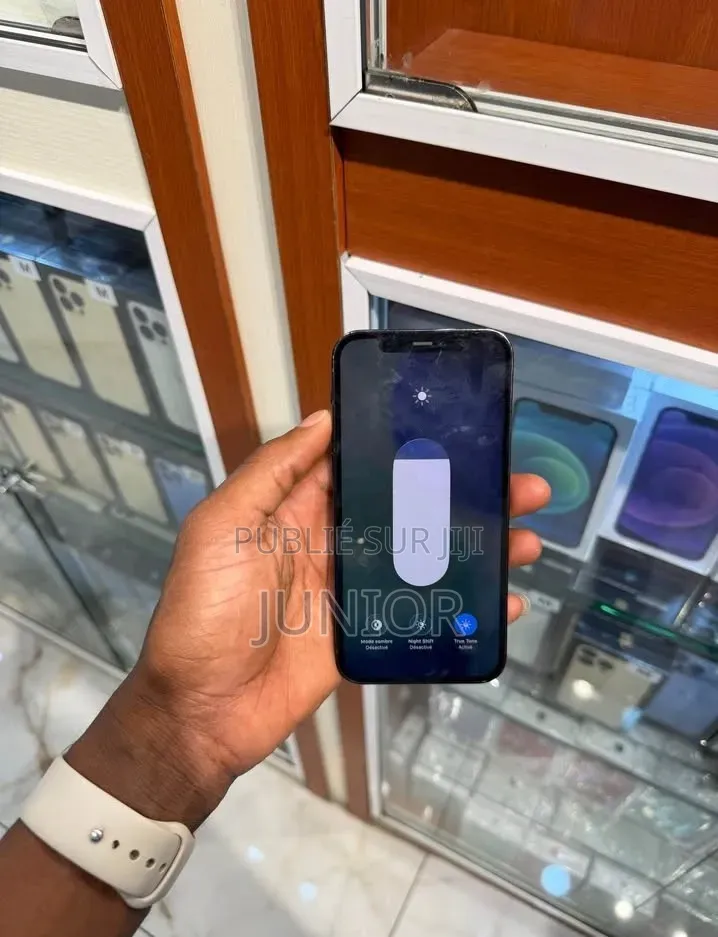 Nouveau Apple iPhone 12 Pro 256 GB Bleu