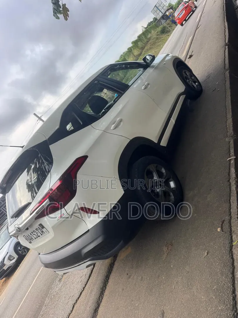Kia Seltos 2022 Blanc