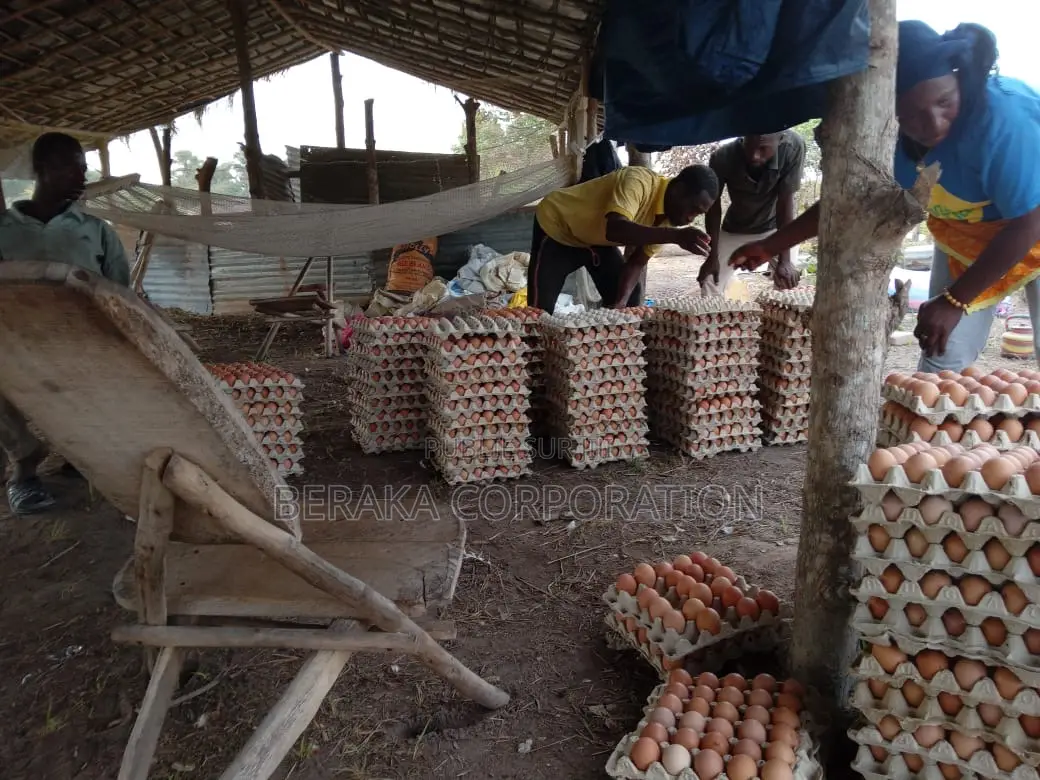 Ferme en Vente À Toumodi