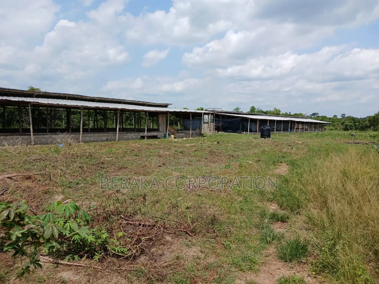 Ferme en Vente À Toumodi