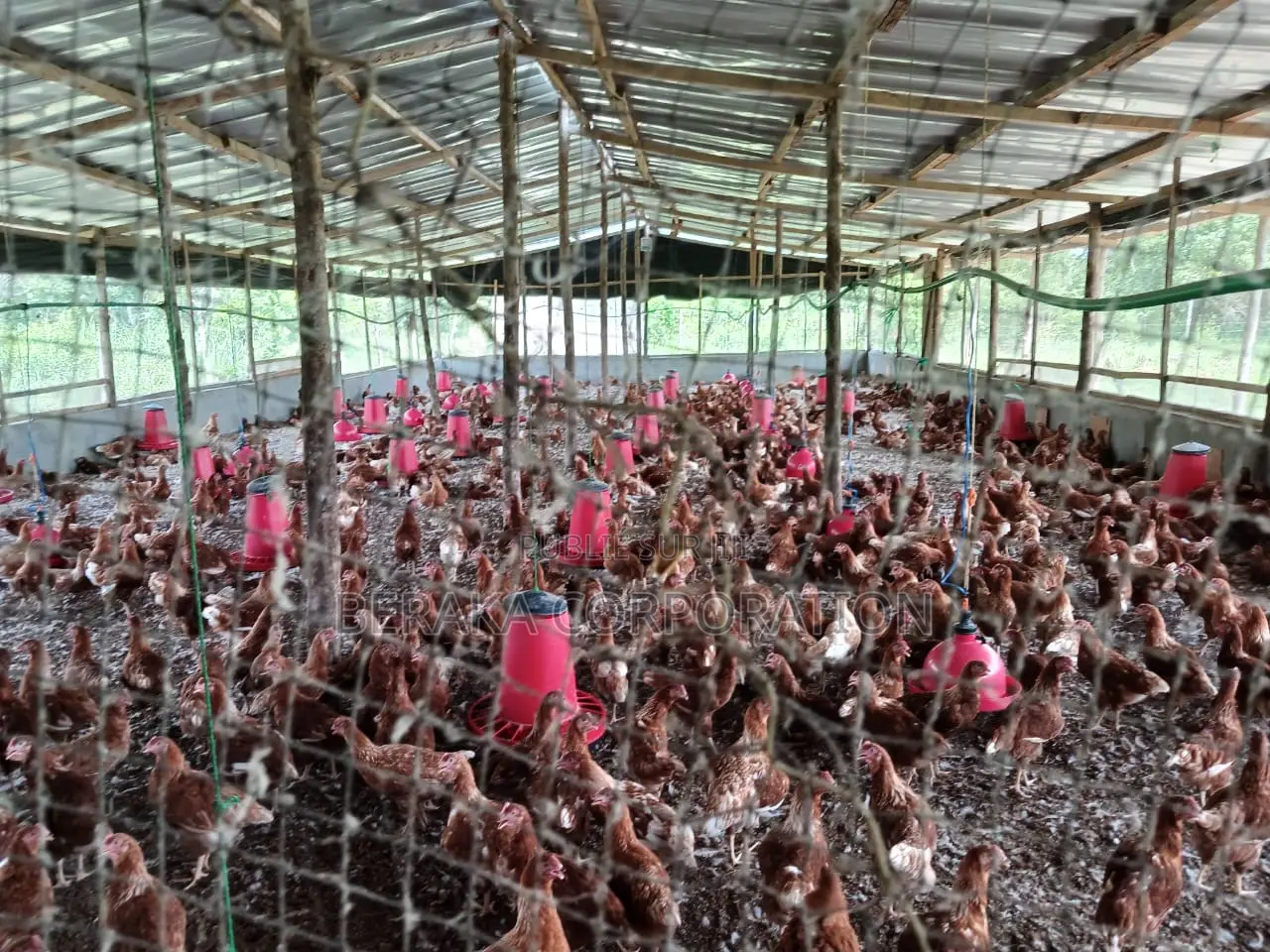 Ferme en Vente À Toumodi
