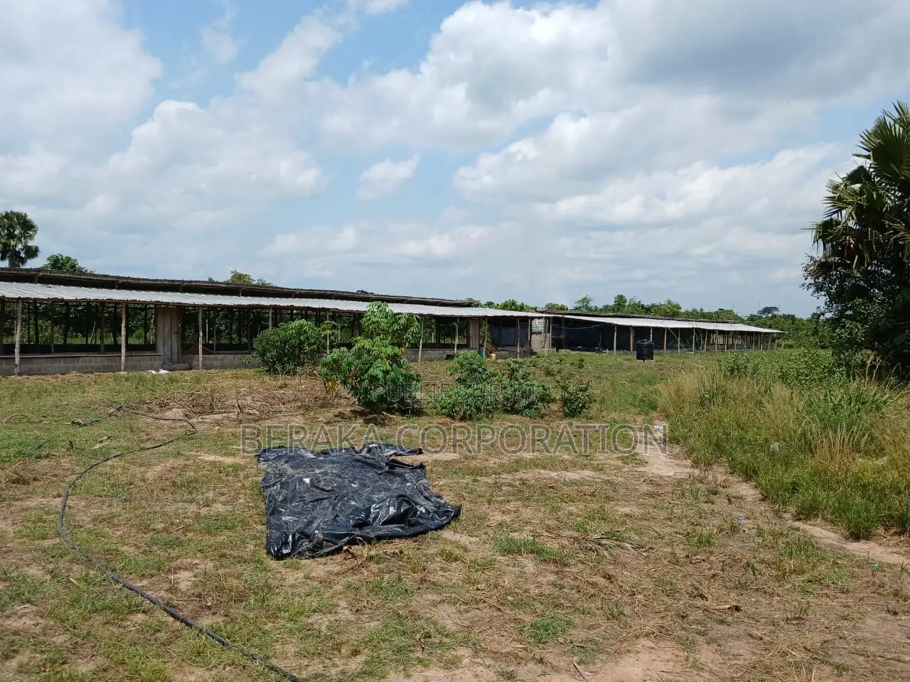 Ferme en Vente À Toumodi