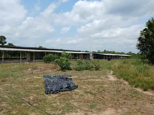 Ferme en Vente À Toumodi