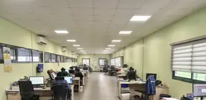 Une Usine De Transformation De Cacao