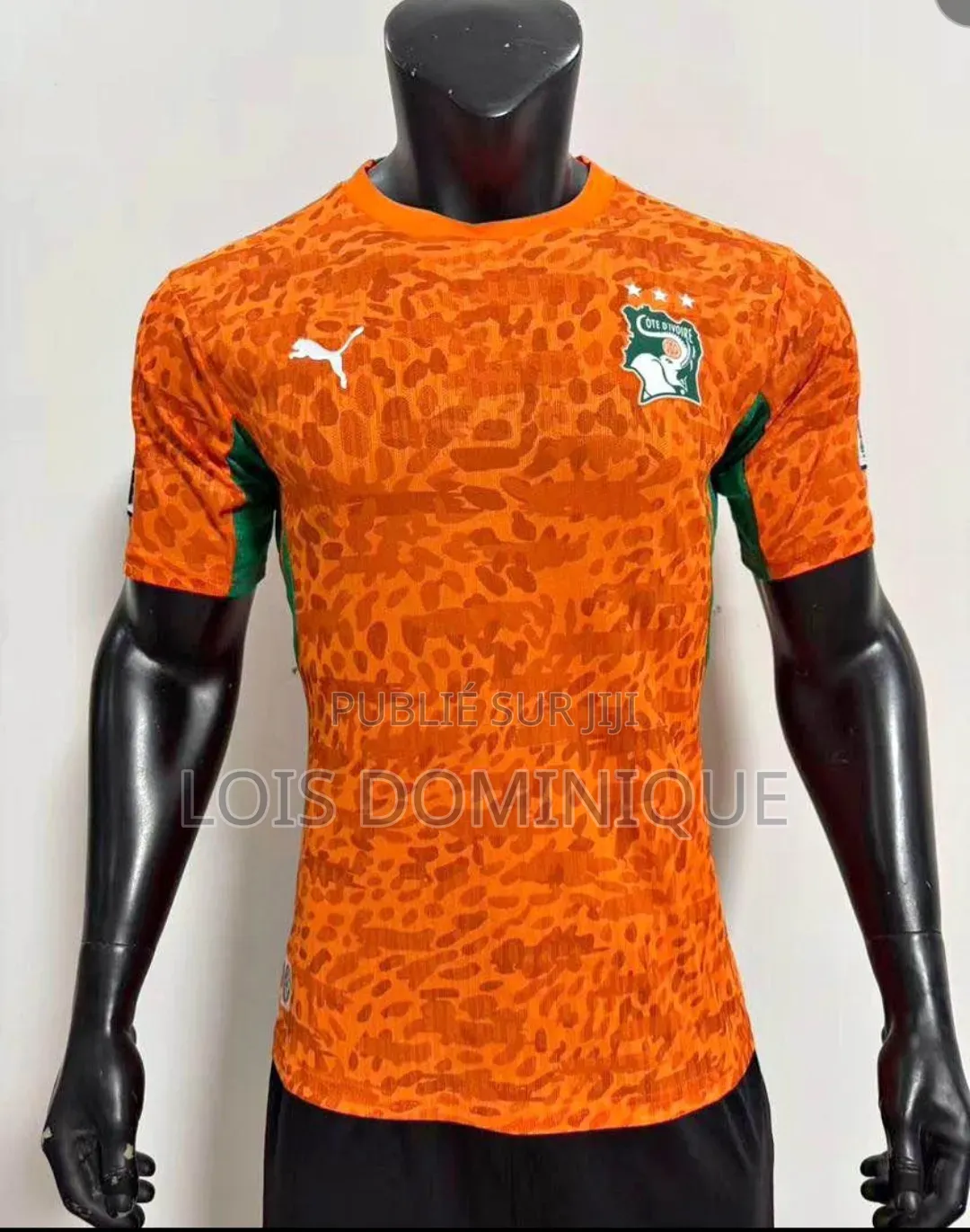 Maillot Coupe Du Monde