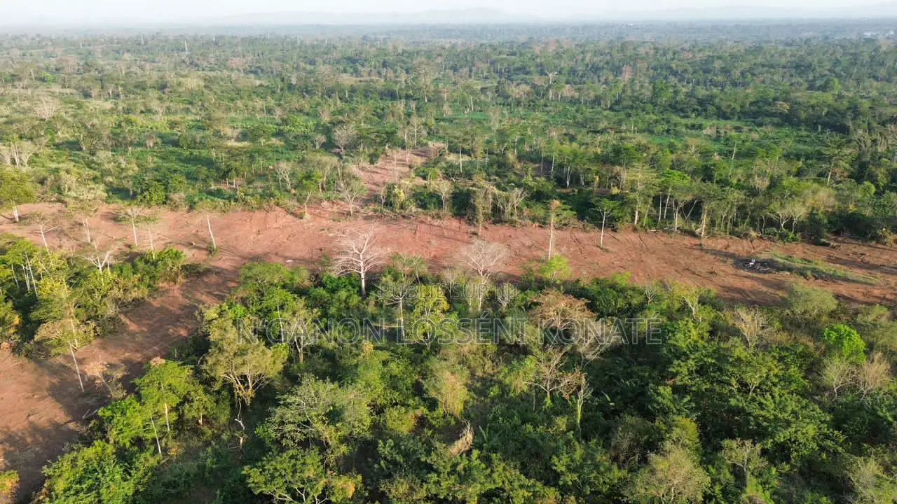 Vente De Terrains Yamoussoukro N'gbekro