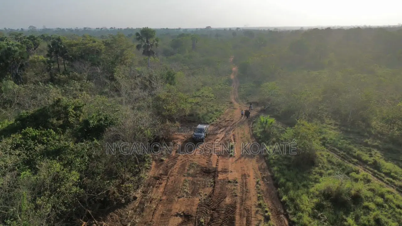 Vente De Terrains Yamoussoukro N'gbekro