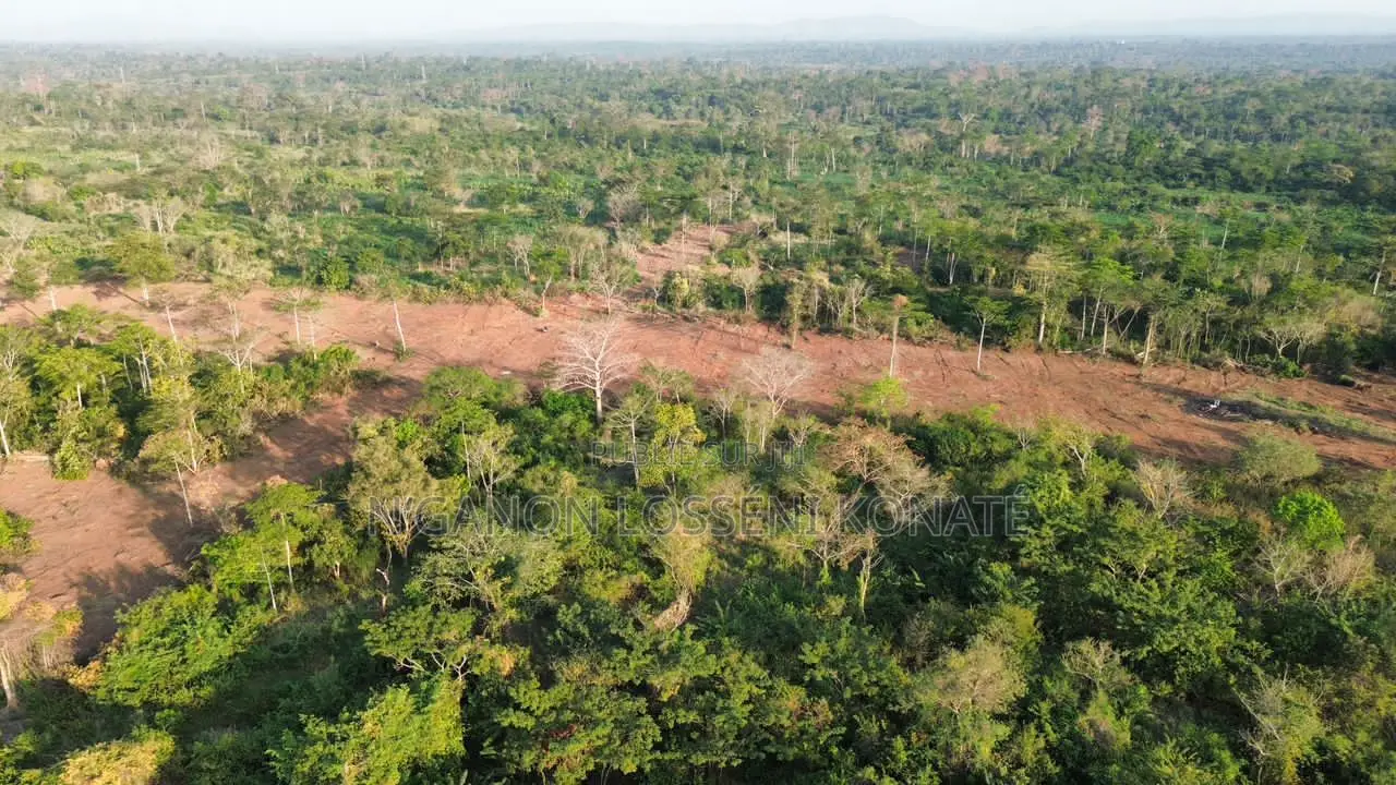 Vente De Terrains Yamoussoukro N'gbekro