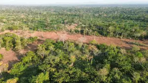 Vente De Terrains Yamoussoukro N'gbekro