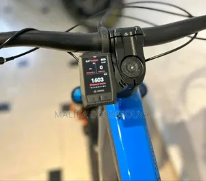 Vélo Électrique