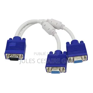 Câble Répartiteur Vga, Câble en Y 1 Mâle Vers 2 Femelles