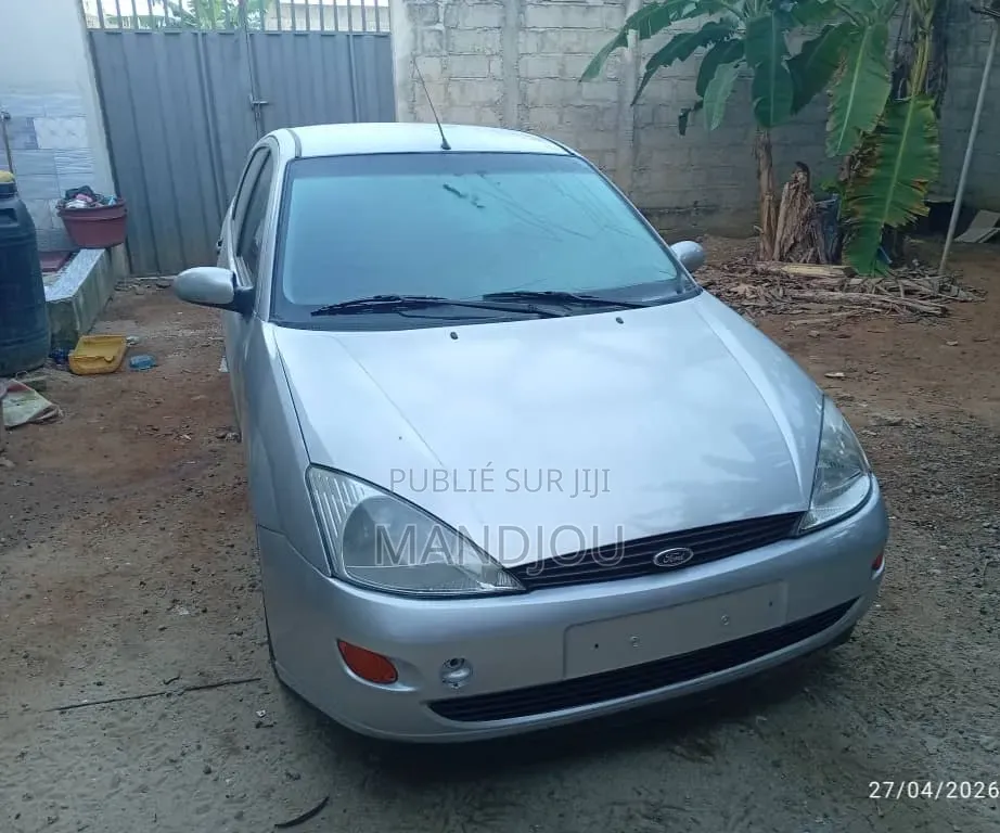 Ford Focus 2002 Gris
