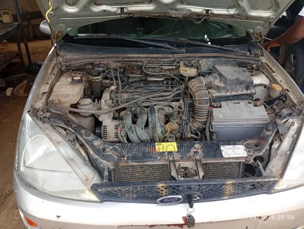 Ford Focus 2002 Gris