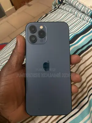 Apple iPhone 12 Pro Max 256 GB Bleu