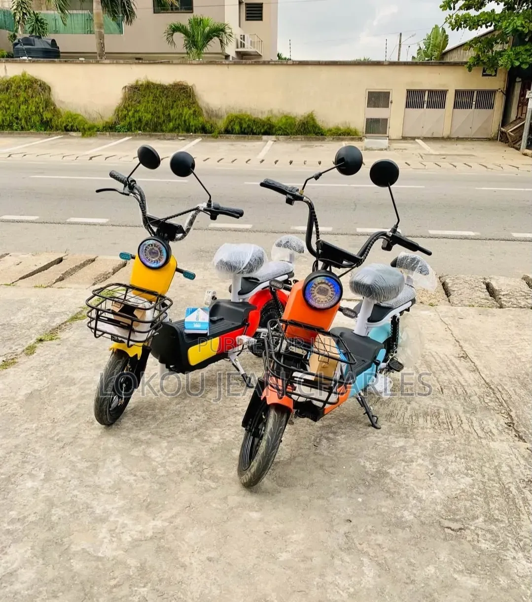Bicyclette Electrique en Promo Stock Limité