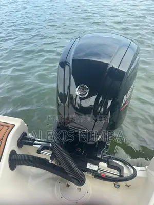 En Vente Moteur Mercury 115cv 4 Temps