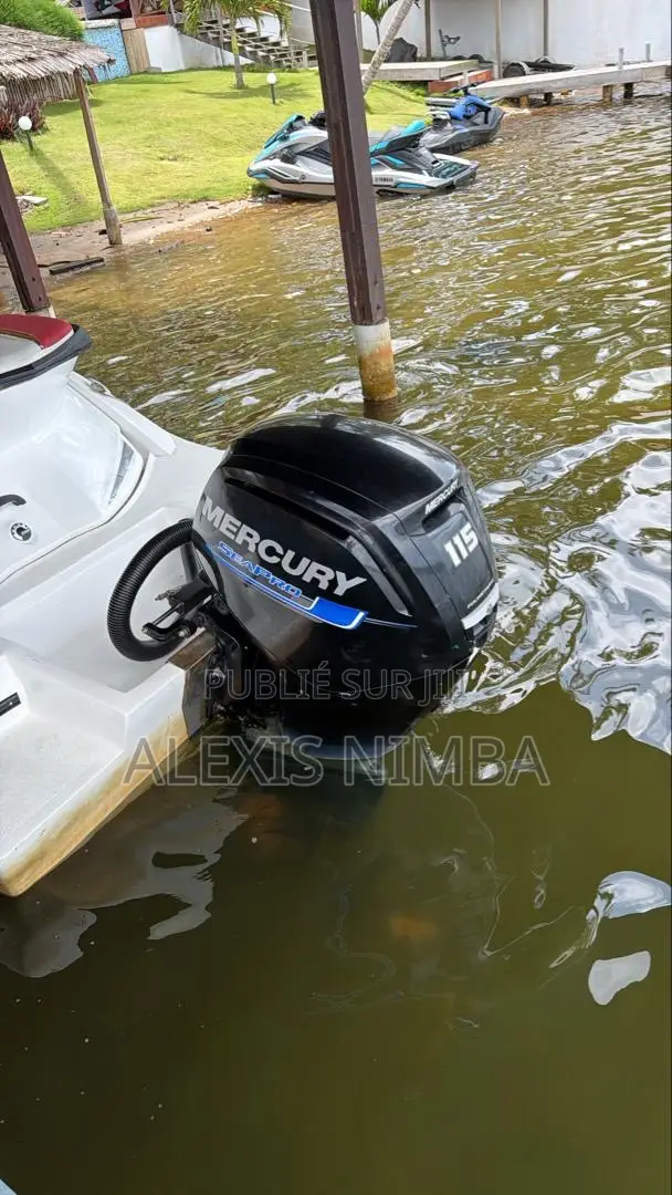 Moteur Mercury 4 Temps 115cv en Vente