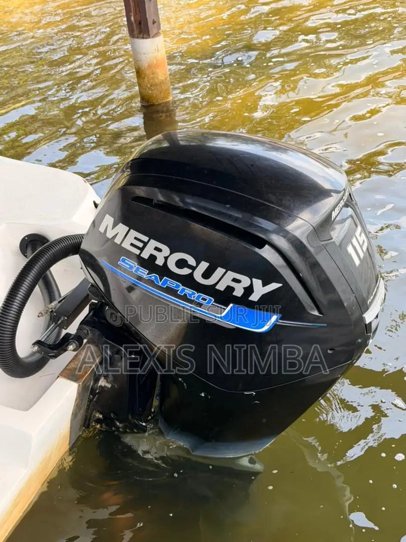 Moteur Mercury 4 Temps 115cv en Vente
