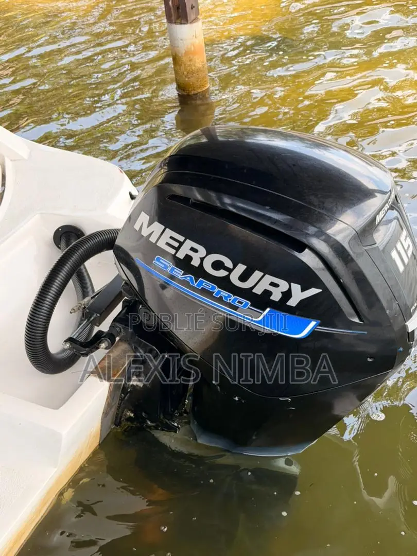 Moteur Mercury 4 Temps 115cv en Vente