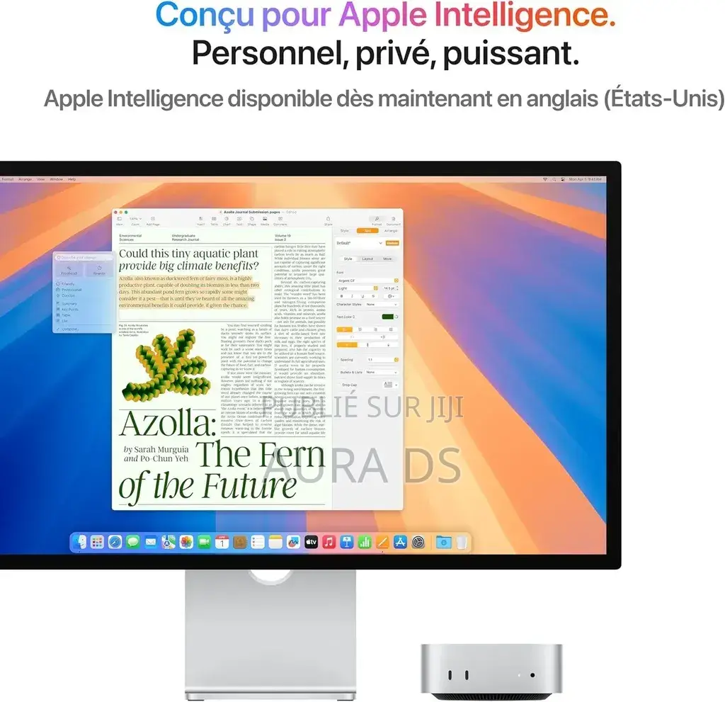 Nouveau Ordinateur de bureau Apple Mac Mini 24GB Apple M4 SSD 512GB